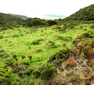 Inselrundfahrt Terceira