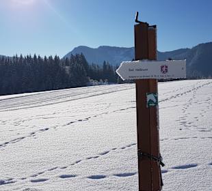 Wandern Bad Mitterndorf