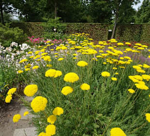 Impressionen aus dem Park der Gärten