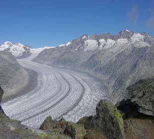 Der Grosse Aletschgletscher