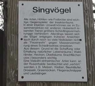 Wanderung rund um das Rusenschloss Gerhausen