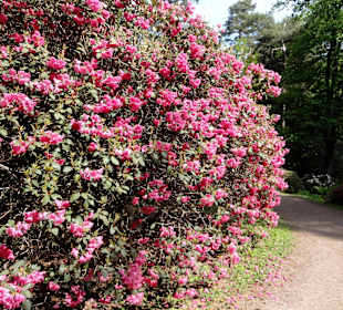 Impressionen vom Rundweg durch den Park