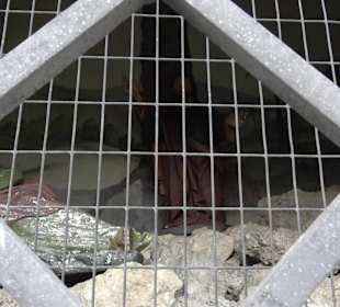 Jesus Grotte am Kalvarienberg