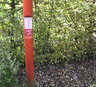 Kneipp`scher Sinnesgarten