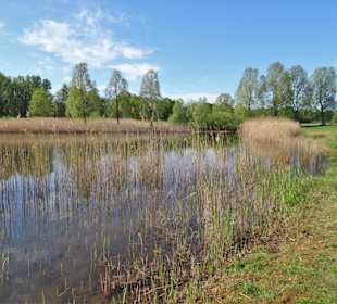 Eindrücke aus dem Wietzepark