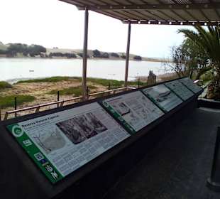 Naturschutzgebiet La Charca in Maspalomas
