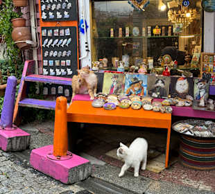 Stadtteile Balat, Fener, Fatih