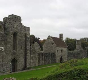 Boyle Abbey