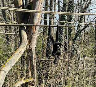 Tiergarten Straubing