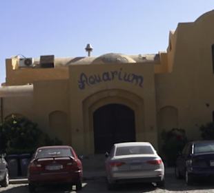 Rundfahrt El Gouna