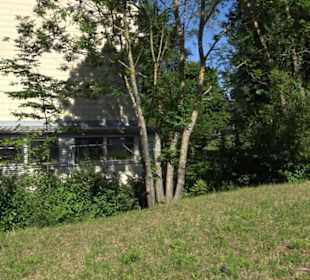 Turn- und Festhalle Öschingen