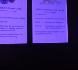 Meeresmuseum Stralsund