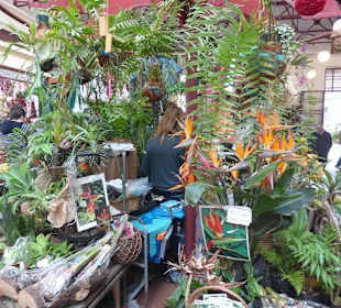 Schöne Markthalle