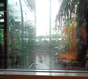 Blick in den Garten durch Fenster