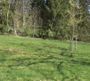 Rundweg am Beutenlay