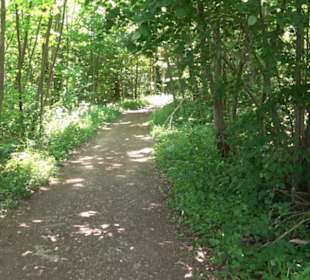 Wanderweg Sieben-Täler-Runde 