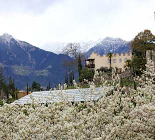 Schloss Trauttmansdorff 