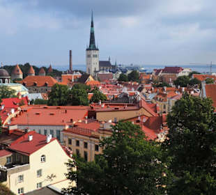 Blick von Tallinn zum Hafen