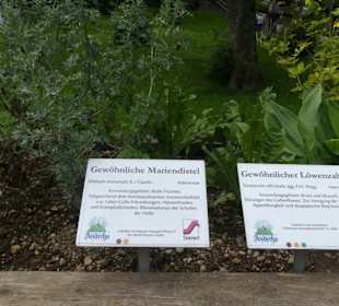 Kräutergarten