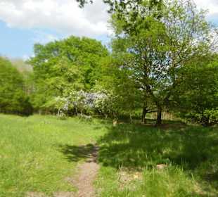 Naturschutzgebiet Boberger Niederung