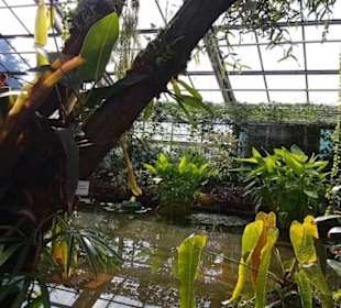 Botanischer Garten