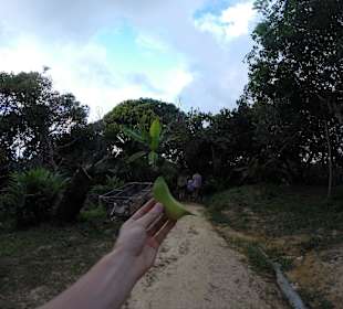 Banan na Phi Phi 