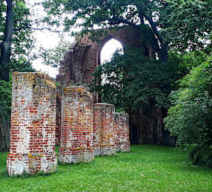 Klosterruine Eldena