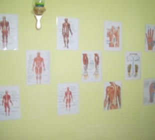 Viele medizinische Bilder