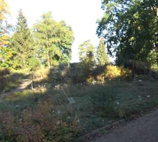 Botanischer Garten