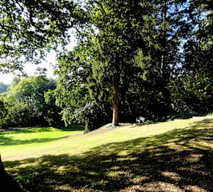 Herbstspaziergang durch Knoops Park