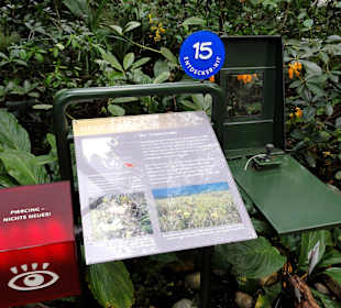 Stationen in den Gewächshäusern