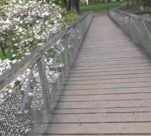 Schlossgarten Mirabell