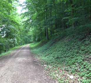 Premiumwanderweg "hochgelegen"