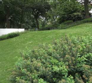 Wallgraben - Alter Botanischer Garten