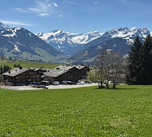 Ausblick