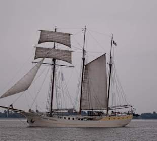 Ein Segler kommt auf.