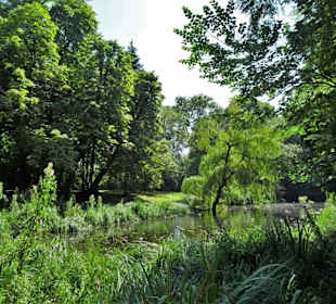 Impressionen aus dem Schlossgarten