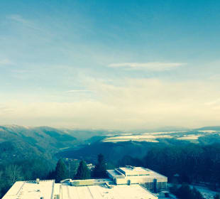 Ausblick