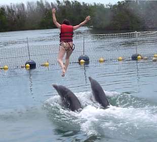 Delfinarium Cayo Blanco