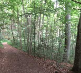 Hochgeträumt Premiumwanderung