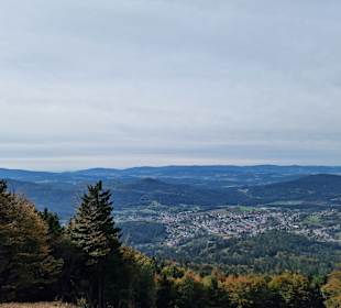 Bodenmaiser Waldrodelbahn Hochzell