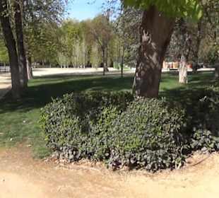 Teatro de Títeres del Parque de El Retiro