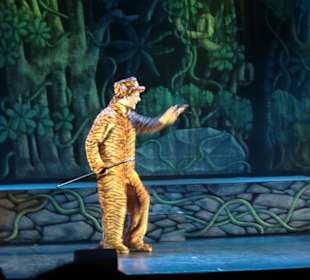 Der Tiger, eine böse Katze