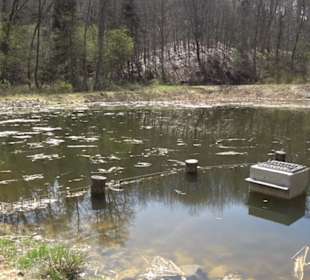 Spazierweg Ritter Museum