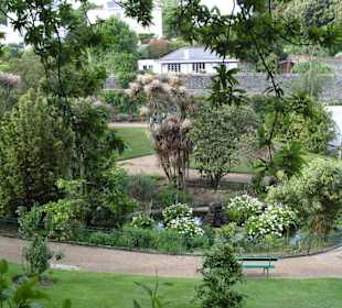 Candie Garden
