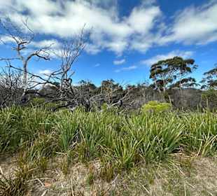 Freycinet-Nationalpark