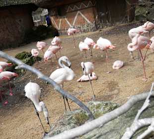 ZOO Jihlava