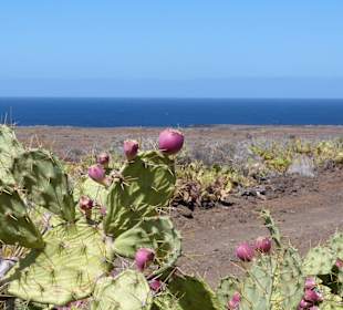 Unterwegs nach Punta de Teno