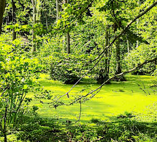 Nationalpark Jasmund 