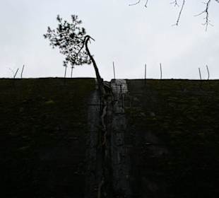 Bunkier Jeleń z zewnątrz